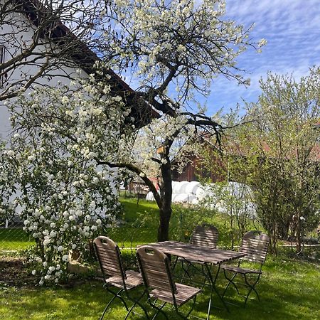 Zimmer Zum Wohlfuehlen Eching  Zewnętrze zdjęcie