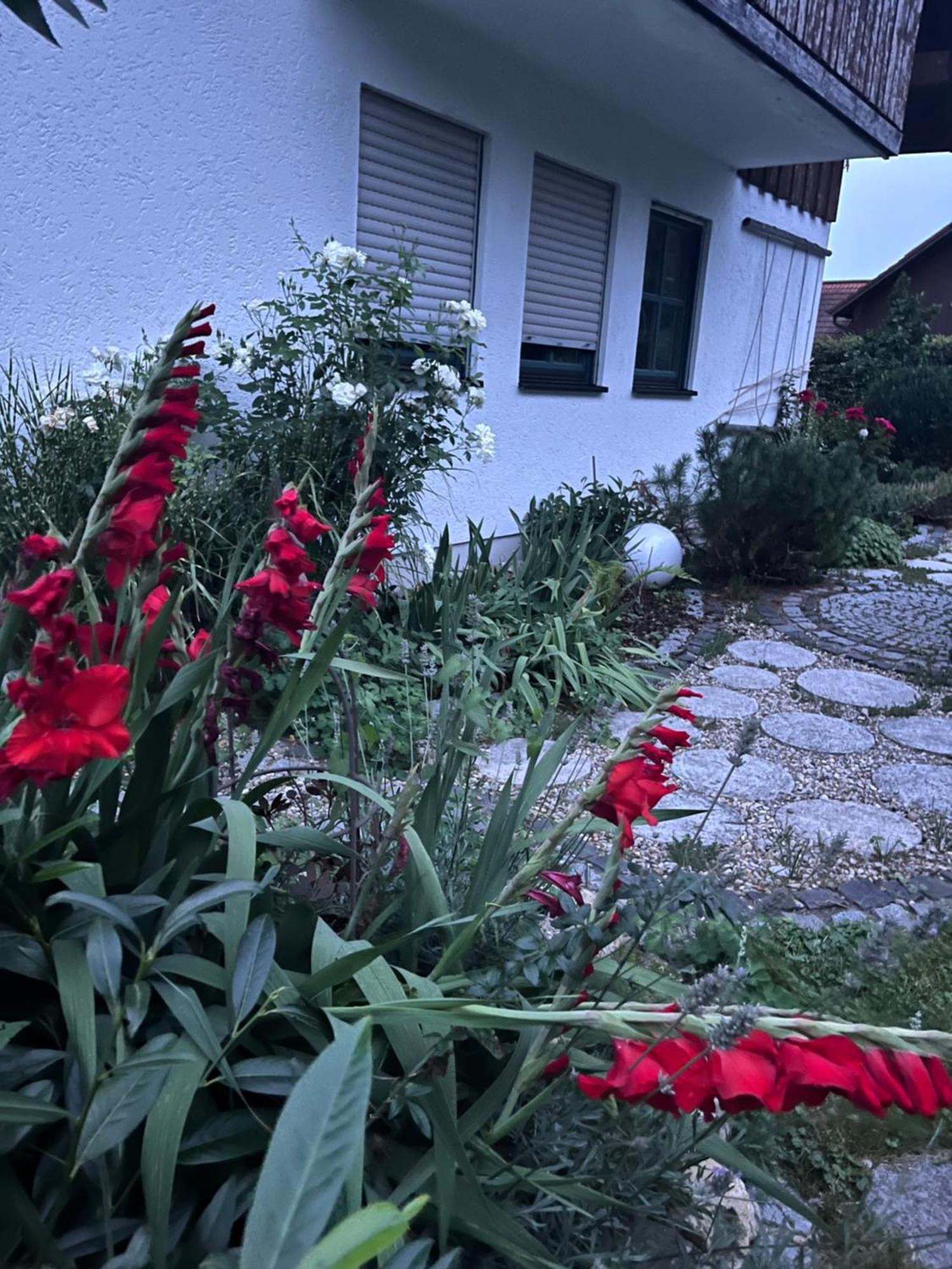 Zimmer Zum Wohlfuehlen Eching  Zewnętrze zdjęcie
