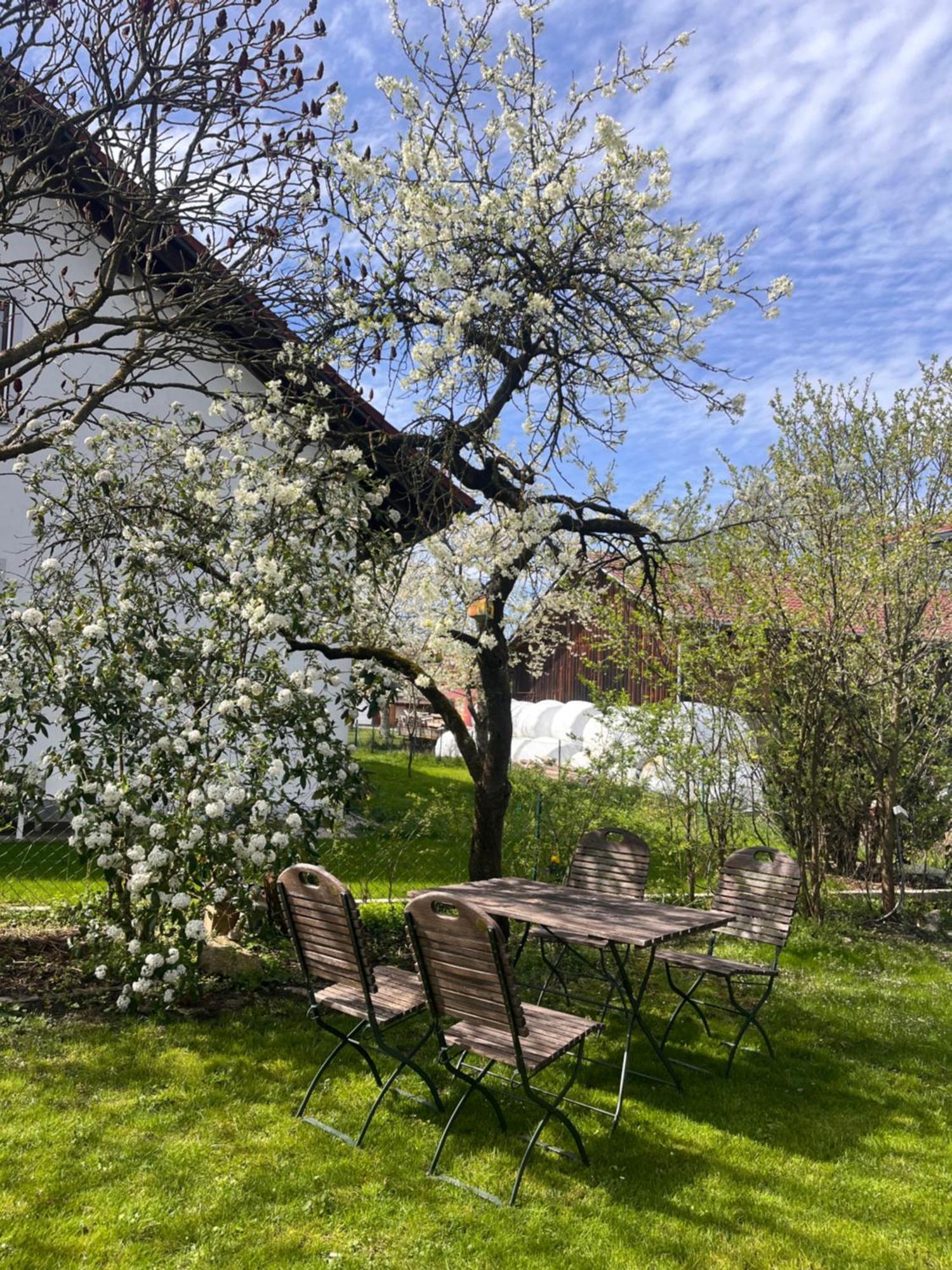 Zimmer Zum Wohlfuehlen Eching  Zewnętrze zdjęcie